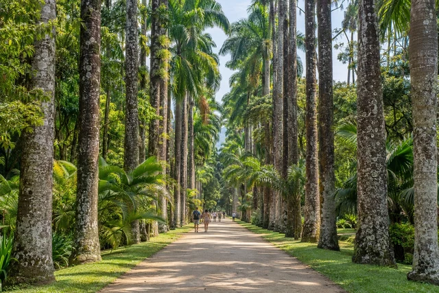 Jardim Botânico: ein Nachmittag unter Palmen